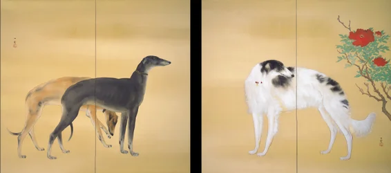 Hunde aus Europa